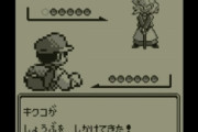 ポケモン赤緑「ゲンガー系統しかゴーストタイプのポケモンおらんけどゴースト専門の四天王出すか…」