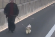 【動画】圏央道で犬の散歩してるおっちゃんが目撃される