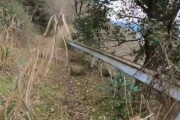 【画像】15年間放置された道路がヤバすぎる　どうなってんだこれ・・・