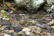 【動画】水たまりが満たされて枯れるまでのタイムラプスに不思議な魅力がある。
