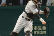 【阪神】長坂拳弥とかいう急に現れたリードが凄すぎる謎のキャッチャー