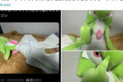 日本で発売された等身大サーナイトぬいぐるみ　外国人の間でも話題に