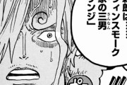 【ONEPIECE -ワンピース】サンジとかいう結局ヴィンスモーク家に頼って戦力アップを遂げた男ｗｗｗｗｗｗｗｗｗｗｗｗ