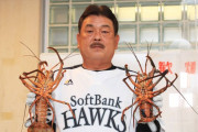 【朗報】 ソフトバンク・藤本新監督、伊勢海老を手に写真を撮る