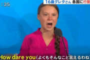 【悲報】グレタさんの仲間、続々と集まる