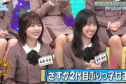 【日向坂46】最近のひなあい、内容が全く頭に入ってこない件。