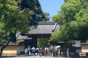 京都市民やけど京都観光する