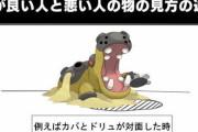 ポケモン対戦における「頭のいい人と悪い人の見方の違い」がこちらｗｗｗ