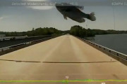 【アメリカ】鳥さん、走行中のトラックに魚を落としてフロントガラスを破壊する（動画あり）