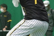 阪神・ノイジーがブルペン出現　打席に立って「生きた球を見られてよかった」