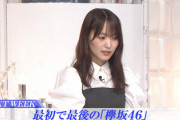 【速報】欅坂46菅井友香「おしゃれイズム」予告に登場！！！