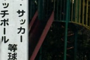 元テレ東アナ、公園の「球技禁止」の看板に「せつない…家の中でゲームしかしないのか」共存できる公共の場を望む