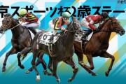 第29回 東京スポーツ杯2歳ステークス(GⅡ)