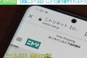 【悲報】ニトリ装う偽サイト「ミトリ」に注意 11月初旬から82件の問い合わせ！！！