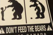 【画像】カナダのポスター「熊にエサを与えないで下さい」←これｗｗｗ