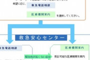 あまり知られていないですが、軽い症状で救急車を呼ぶか迷ったら#7119 に電話。医療の専門の方が対応してくれて必要な場合は119に転送してくれる。本当に必要な人が救急車を使えない。
