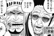 【悲報】ワンピース、海賊に比べ海軍の戦力が弱過ぎる
