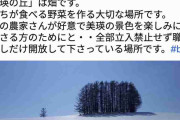「どうして畑に入るの？　どうしてゴミを捨てるの？　どうして看板は見てくれないの？」　美瑛観光協会が立入禁止エリアへの侵入に悲痛の叫び