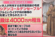 超高級な毛皮コートを着てたデヴィ夫人「犬猫食うな！動物保護しろおお！」