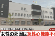 【悲報】女性(32)、深夜の路上で奇声をあげ走り回る←その後突然死・・・・・