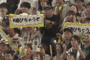 【遊びちゃうぞ】阪神ファン　阪神を煽り立てるｗｗｗｗｗｗ