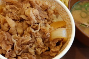 【悲報】牛丼、なんか人気がなくなる…
