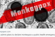 米：バイデン政権、サル痘拡大で緊急事態を宣言[海外の反応]
