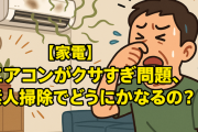【家電】エアコンが臭すぎるんだけど自分で掃除できるものなの？