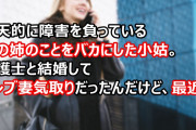 後天的に障害を負っている私の姉のことをバカにした小姑。弁護士と結婚してセレブ妻気取りだったんだけど…