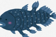 シーラカンスってなんで進化止まってんの？