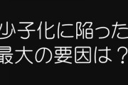 「最大の原因は未婚化。低収入の男性は選ばれない」　社会学者・山田昌弘氏に聞く少子化対策“失敗の本質”
