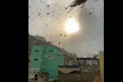 イナゴの大群が街に襲来する映像がまるで黙示録のようだと海外で話題に
