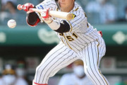 阪神中野拓夢４戦連続犠打で均衡破る１点呼ぶ、弾いた球カバーする好守備も