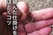 釣り人必見！絡まった仕掛けを上手に解く方法とは？