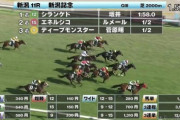 結果シランケドに負けた馬が菊花賞を勝利な件
