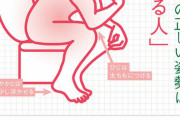【画像】正しいトイレの仕方ｗｗｗｗｗｗｗｗ
