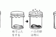 1668年の科学者「コバエは無から発生するんやろか…どうやって調べたらええんやろか…せや！」