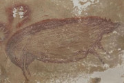 【世界最古】4万5500年前のイノシシ壁画、インドネシアで発見！