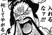 【ONEPIECE -ワンピース】カイドウ、ビッグマムにビビってなかったｗｗｗｗｗ