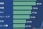 韓国人「 韓国、対GDP比家計負債ランキングで不名誉すぎる世界1位に君臨してしまう」