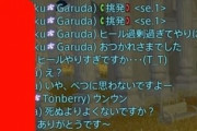 【FF14】「ヒール過剰すぎてやりにくいのでぬけます」エキルレでのとある出来事が原因で”ヒール過剰”がツイッターでトレンド入りｗｗｗｗ