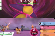 ポケモン剣盾の「戦犯レイドNPCトレーナー」が遂に指名手配されてしまうｗｗｗｗ「この顔にピンときたらホームボタン」