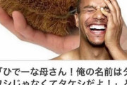 お前ら「boketeの長文はつまらん」「シンプルイズベスト」ワイ「はあ……」