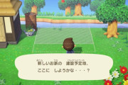 【あつまれどうぶつの森】住宅街を作ってるのに住民の家が1マスずれることあるよな