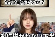 【画像】例のワンピース考察YouTuberの女の子、またとんでもない考察をしてしまう