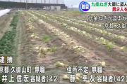 【悲報】 無職(42)のコンビ、畑からネギを盗み逮捕