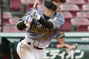 阪神近本が犠飛＆２点打、トンネル抜け復調へ光