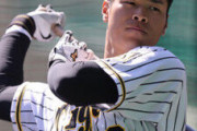 【野球】〝大谷翔平方式〟が最適！？　阪神・佐藤輝「１番起用」をライバル球団が警戒