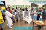 【日向坂46】メンバーの鍛えられたバラエティ力を実感。