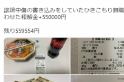【悲報】誹謗中傷していた無職、訴えられて55万円支払う。なお勝訴側は『20万円の赤字』と『うつ病』になってしまった模様…